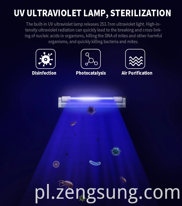 UV Lamp